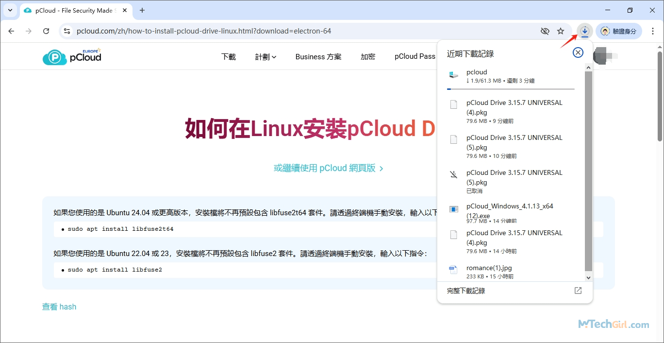 pCloud 下載 Linux 版完成