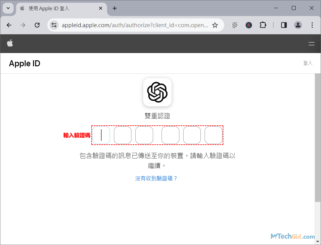 填寫Apple帳戶驗證碼