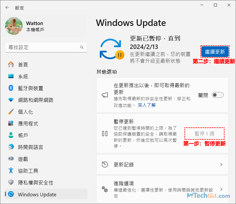 Windows 11暫停更新