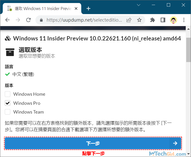 UUP Dump選擇Windows 11 Pro中文繁體版